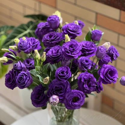 Eustoman piikittömän ruusun siemenet (100 kpl) 💐Lisianthus-siemenet