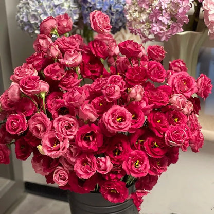 Eustoman piikittömän ruusun siemenet (100 kpl) 💐Lisianthus-siemenet