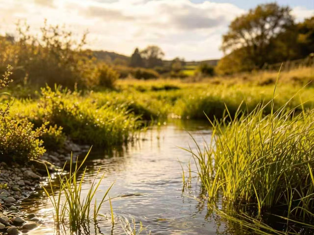 🎣 Automaattinen pohjaongintasetti