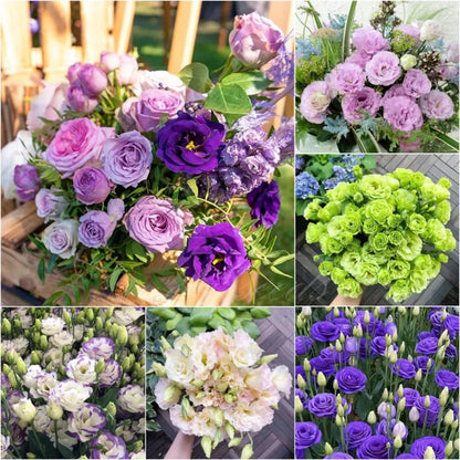 Eustoman piikittömän ruusun siemenet (100 kpl) 💐Lisianthus-siemenet