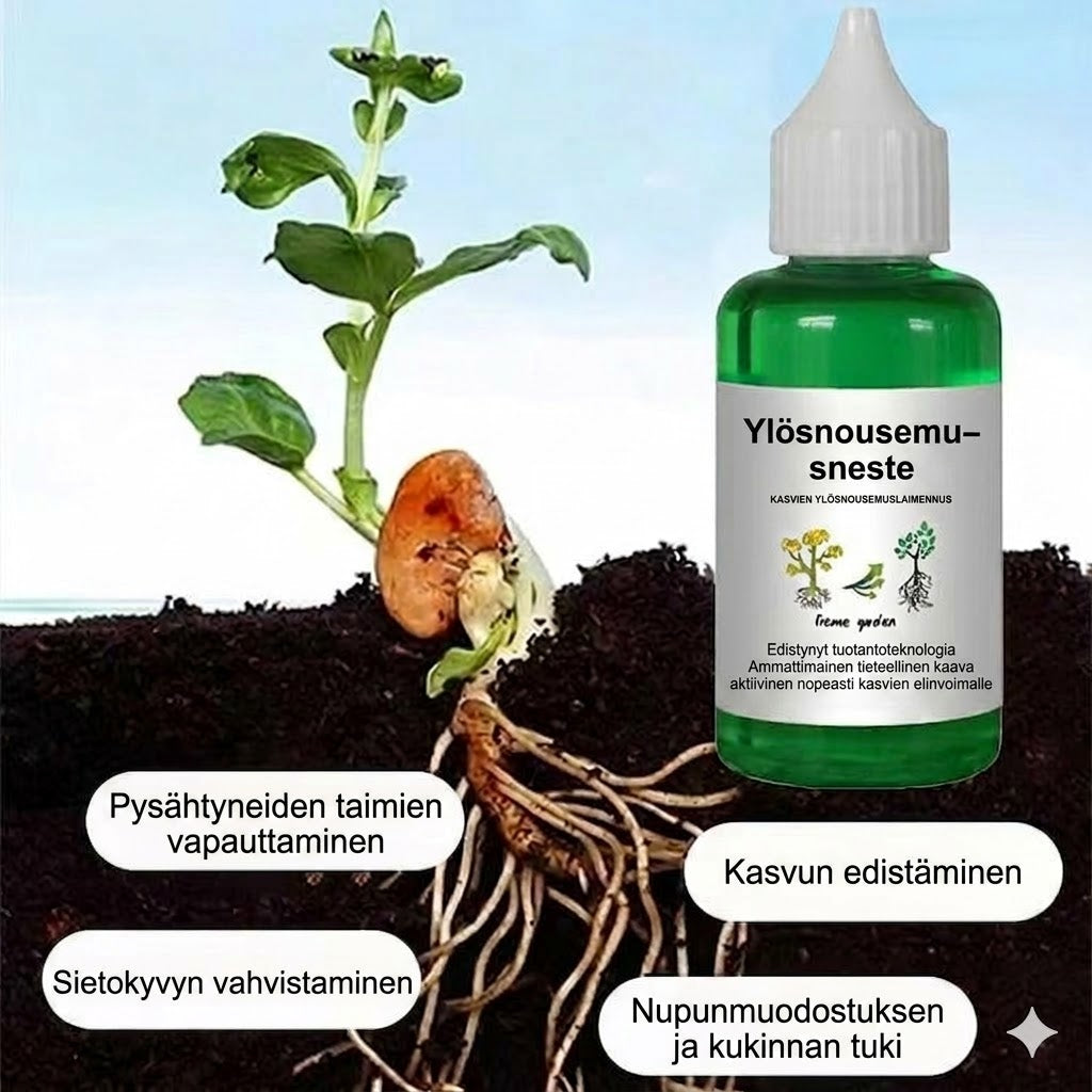 Kasviravinneliuos