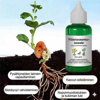 Kasviravinneliuos