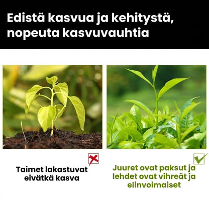 Kasviravinneliuos