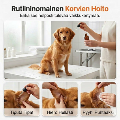 Miedot korvatipat koirille – Päivittäiseen hoitoon