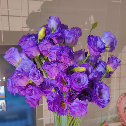 Eustoman piikittömän ruusun siemenet (100 kpl) 💐Lisianthus-siemenet