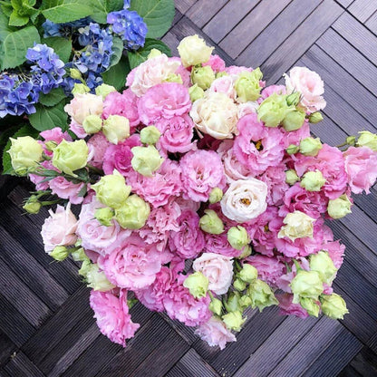 Eustoman piikittömän ruusun siemenet (100 kpl) 💐Lisianthus-siemenet