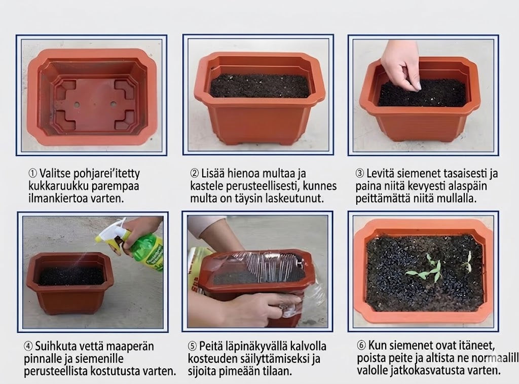 Korkealaatuiset, harvinaiset, helppohoitoiset premium-kasvit