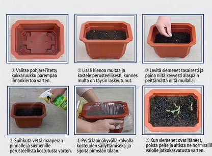 Korkealaatuiset, harvinaiset, helppohoitoiset premium-kasvit