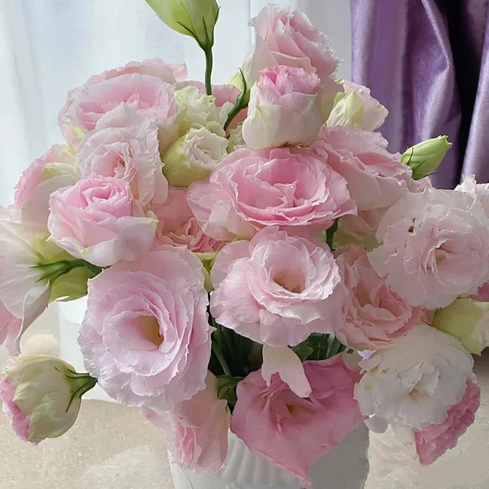 Eustoman piikittömän ruusun siemenet (100 kpl) 💐Lisianthus-siemenet