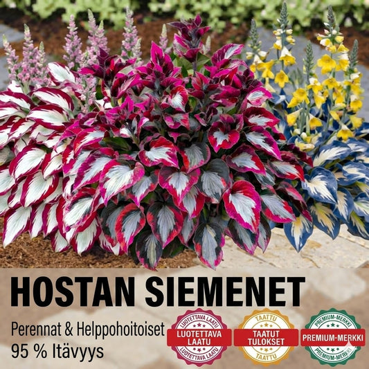 Korkealaatuiset, harvinaiset, helppohoitoiset premium-kasvit