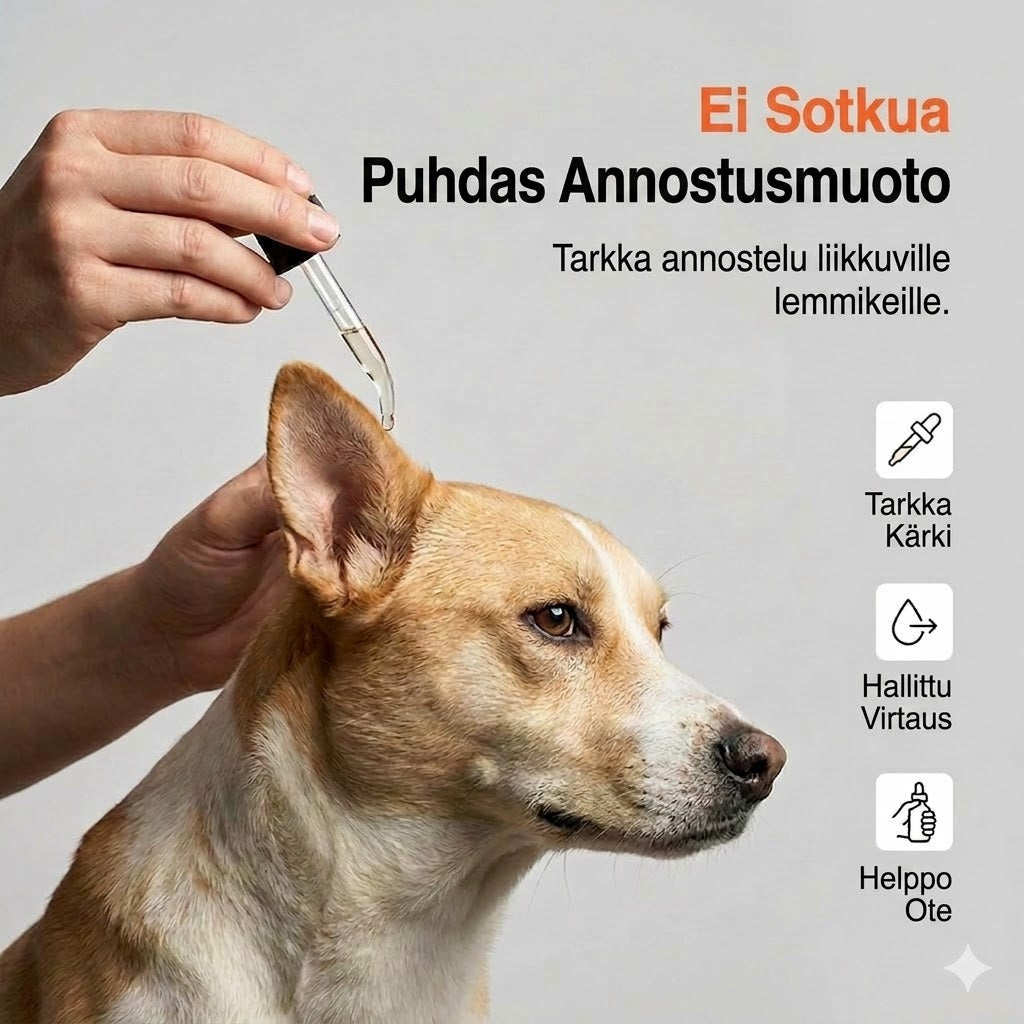 Miedot korvatipat koirille – Päivittäiseen hoitoon