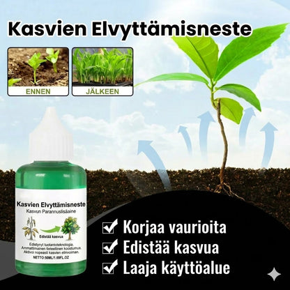 Kasviravinneliuos