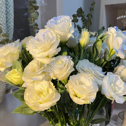 Eustoman piikittömän ruusun siemenet (100 kpl) 💐Lisianthus-siemenet
