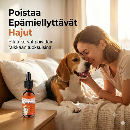Miedot korvatipat koirille – Päivittäiseen hoitoon