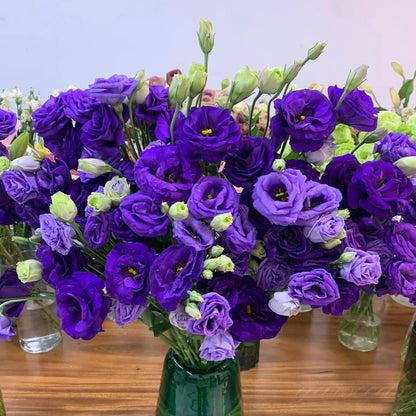 Eustoman piikittömän ruusun siemenet (100 kpl) 💐Lisianthus-siemenet