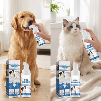 🐶🐱 Hammaskivenpoistovaahto koirille