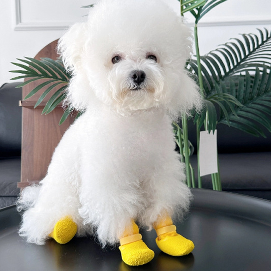 Liukumattomat ja vedenpitävät kengät lemmikeille🐶👟